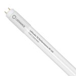 Ledvance LED Buis T8 Performance (HF) Ultra Output 15W 2400lm - 840 Koel Wit | 120cm - Vervangt 36W Ledvance LED Buis T8 Performance (HF) Ultra Output 15W 2400lm - 840 Koel Wit | 120cm - Vervangt 36W