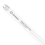 Ledvance LED Buis T8 Performance Food (EM/Mains) Standard Output 5.2W 500lm - 833 Warm Wit | 60cm - Vervangt 18W Ledvance LED Buis T8 Performance Food (EM/Mains) Standard Output 5.2W 500lm - 833 Warm Wit | 60cm - Vervangt 18W