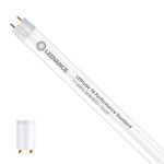 Ledvance LED Buis T8 Performance (EM/Mains) Standard Output 11.6W 1100lm - 833 Food | 120cm - Vervangt 36W Ledvance LED Buis T8 Performance (EM/Mains) Standard Output 11.6W 1100lm - 833 Food | 120cm - Vervangt 36W