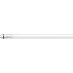 Philips MASTER LED Tube T8 (EM/Mains) Ultra Efficiency 17.6W 3700lm - 865 Daglicht | 150cm - Vervangt 58W Philips MASTER LED Tube T8 (EM/Mains) Ultra Efficiency 17.6W 3700lm - 865 Daglicht | 150cm - Vervangt 58W