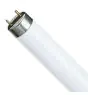 Philips MASTER TL-D Super 80 58W - 840 Koel Wit | 150cm - UNP